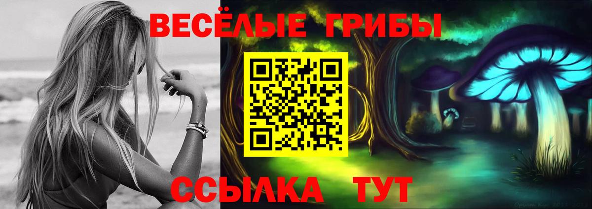 Псилоцибиновые грибы ЛСД  Вход с VPN  Сегежа 